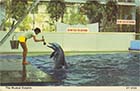 Queens Gardens Butlins Queen Highcliffe Hotel dolphinarium [PC]